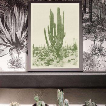 vintage saguaro cactus art