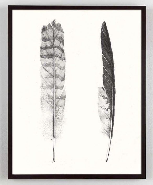 feather art print