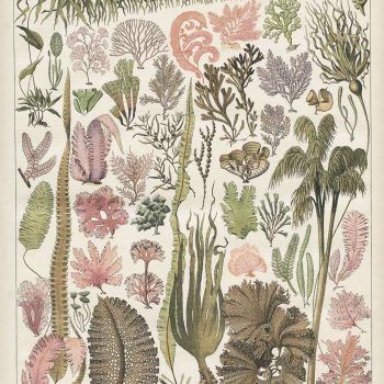 victorian seaweed print with pink and green