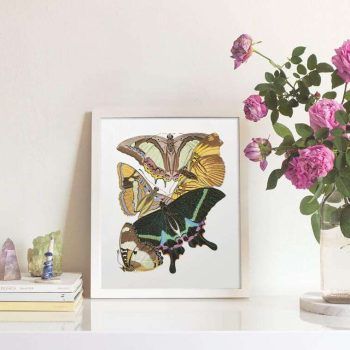 art nouveau butterfly print