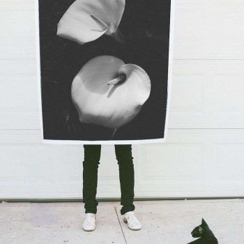 black and white lillies photo