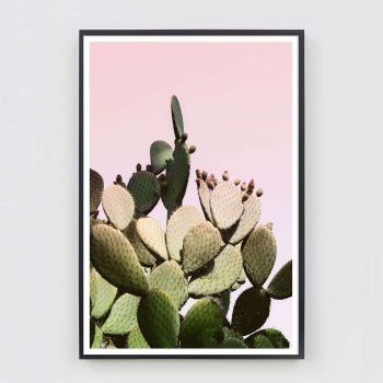 pink cactus print