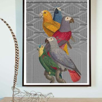 antique bird collage