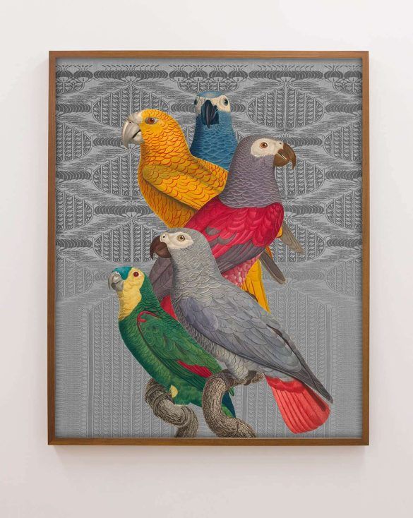 art with parrots