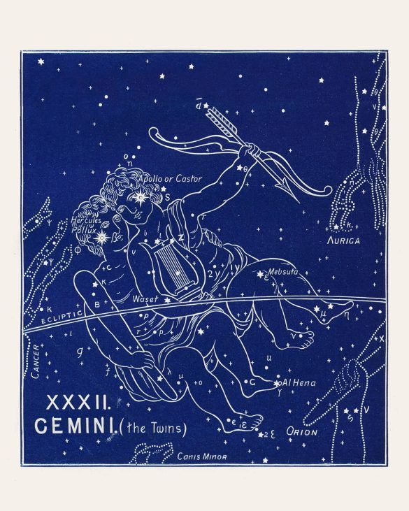 gemini zodiac print