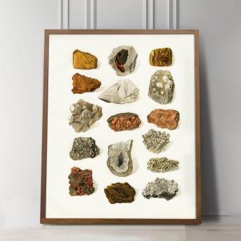 southwest rock and mineral art print