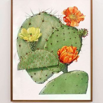 flowering cactus art