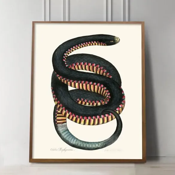 black and red snake art print