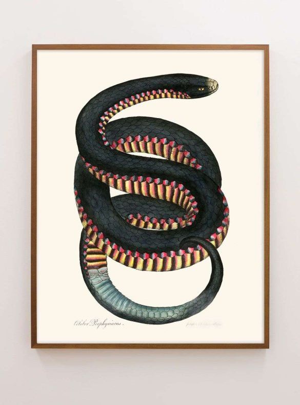 southwestern wall decor with snake