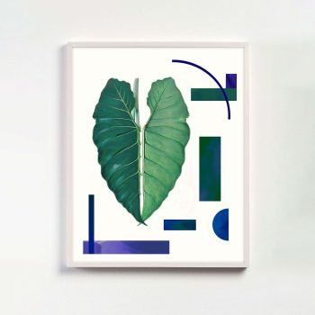 botanical print with geometric shapes