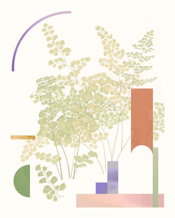 botanical collage with abstract geometric shapes