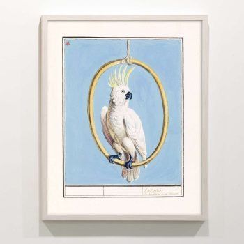 white cockatoo painting