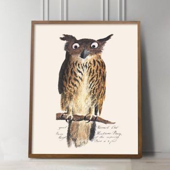 vintage owl print
