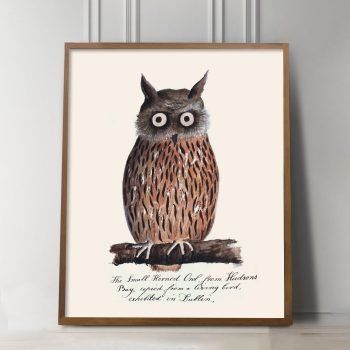 vintage owl art print