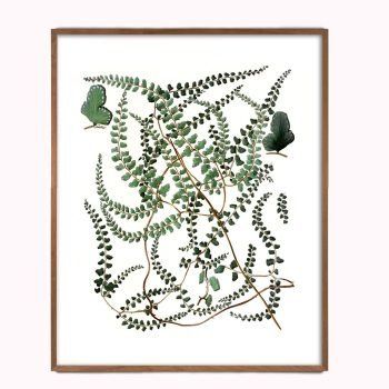cottagecore ivy botanical art