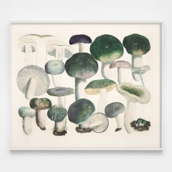 kitchen decor mushroom art print