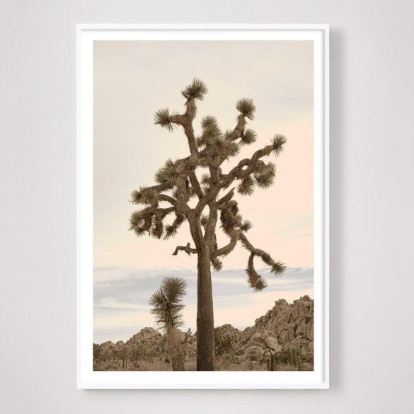 joshua tree art with pastel and pink sky