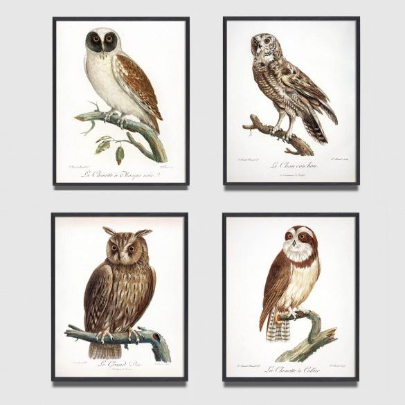 woodland owl prints set of 4