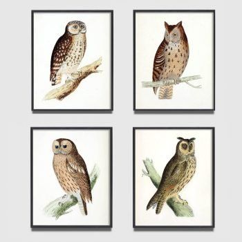 vintage woodland owl set of 4