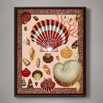 antique shell collage art