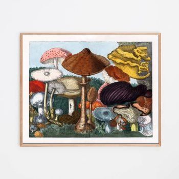 magic mushroom decor print