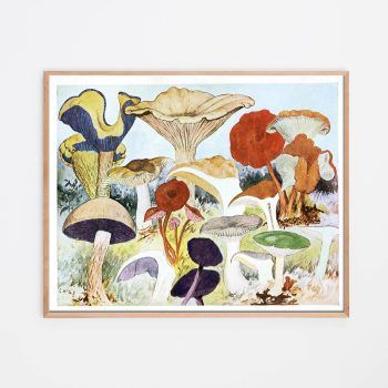 toad stool mushroom decor print
