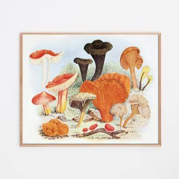 mushroom decor art print